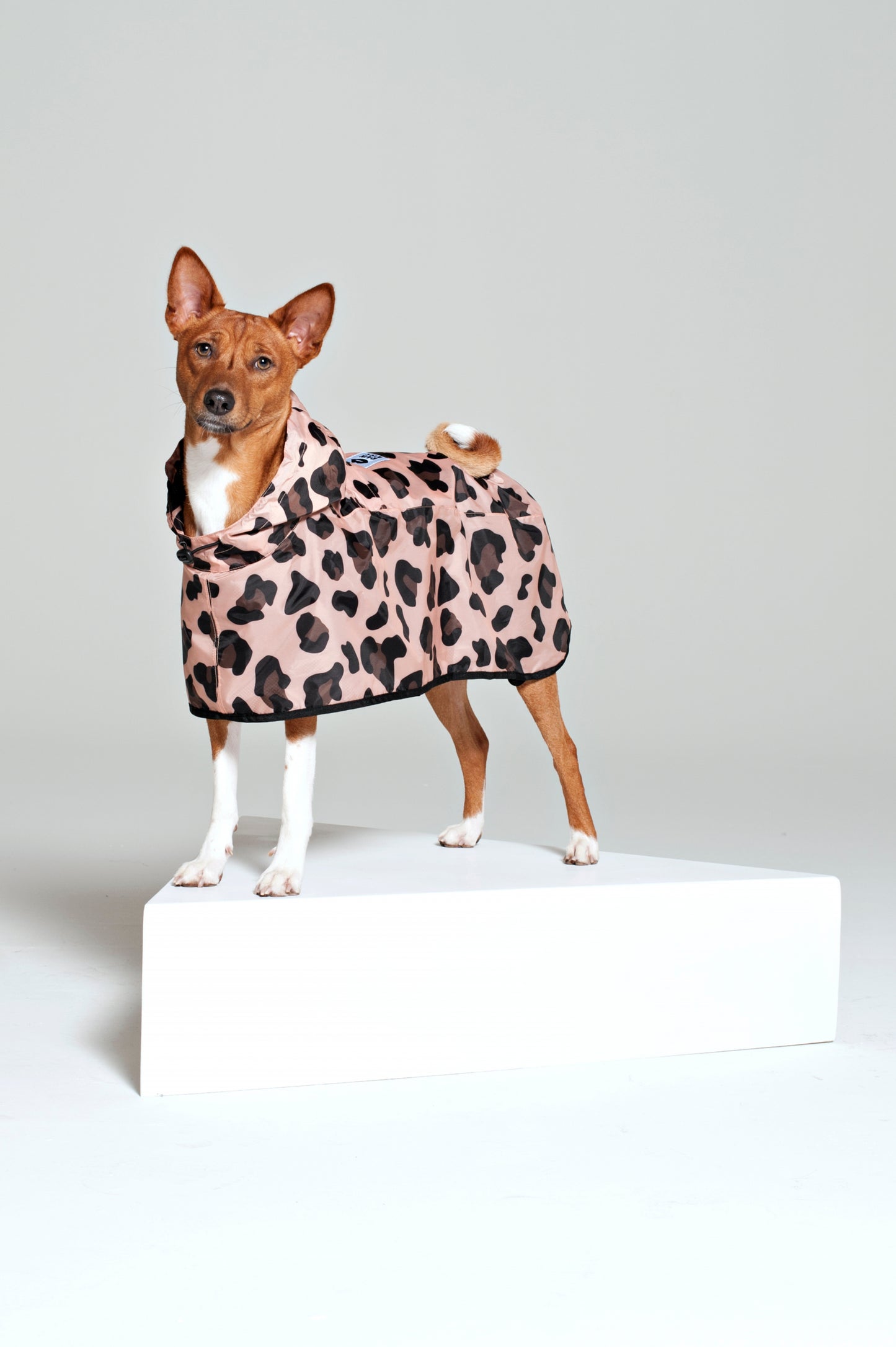 Pink Panther - Dog Poncho