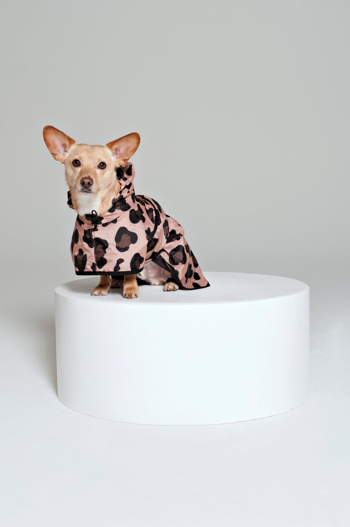 Pink Panther - Dog Poncho